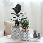 luxury flower pot