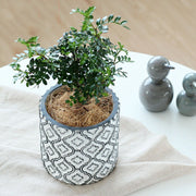 luxury flower pot