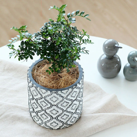 luxury flower pot