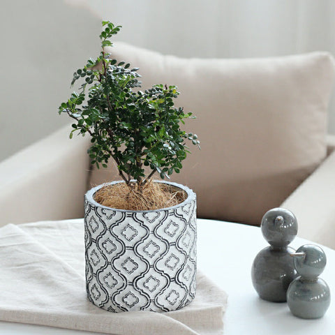 luxury flower pot